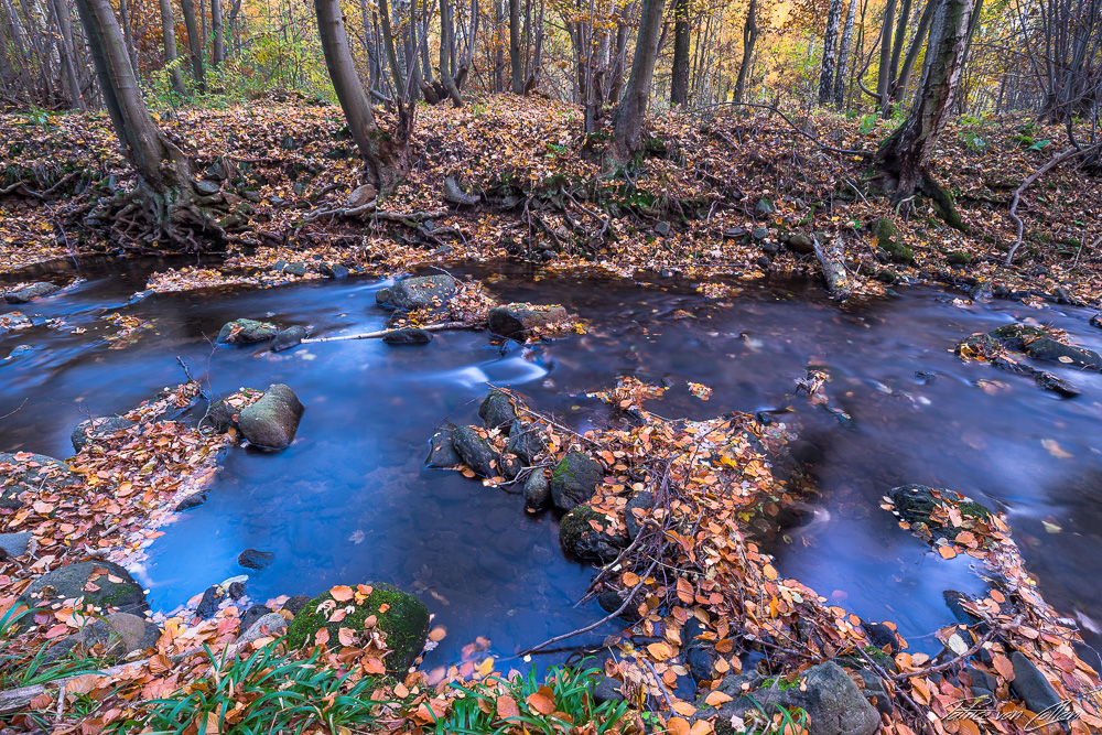 Nationalpark Harz